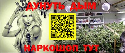 гашик Жуковский