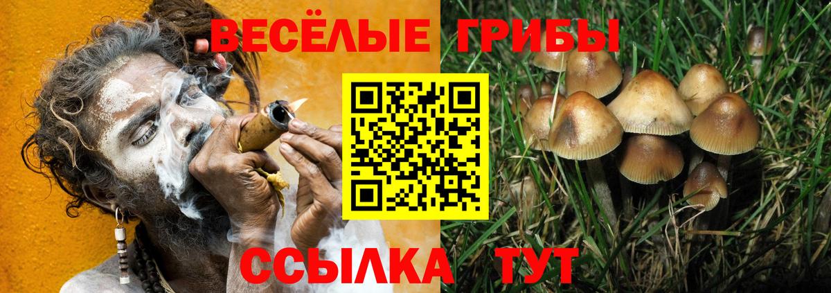 Псилоцибиновые грибы MAGIC MUSHROOMS  Псилоцибиновые грибы Cubensis  Янаул  Вход с VPN 
